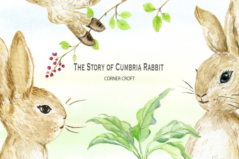 May include: A watercolor illustration of two brown rabbits with green leaves and red berries in the background. The text "THE STORY OF CUMBRIA RABBIT CORNER CROFT" is written in the center of the image.