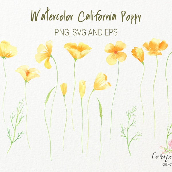 Watercolor California poppy, silhouette, PNG, SVG and EPS