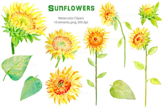 Free Free 254 Clipart Sunflower Stem SVG PNG EPS DXF File