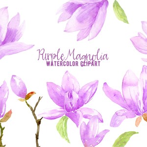 Watercolor Clipart Purple Magnolia, purple magnolias, magnolia branches and decorative leaves  for instant download