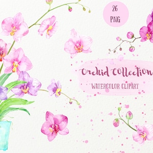 May include: A watercolor clipart collection of 26 orchid flowers in pink, purple, and white. The flowers are arranged in various bouquets and individual stems. The text "Orchid Collection Watercolor Clipart" is written in pink on a white background.