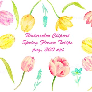 Watercolour clipart tulip flowers pink, purple and orange digital clipart printable instant download scrapbook spring flowers