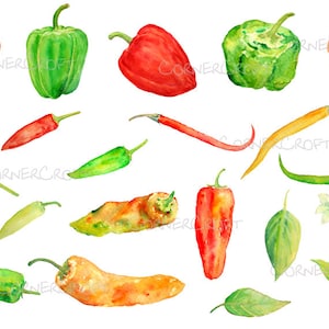 Handgeschilderde aquarel groenten pepers chilli pepers digitale clipart instant download voor wenskaarten wand decor