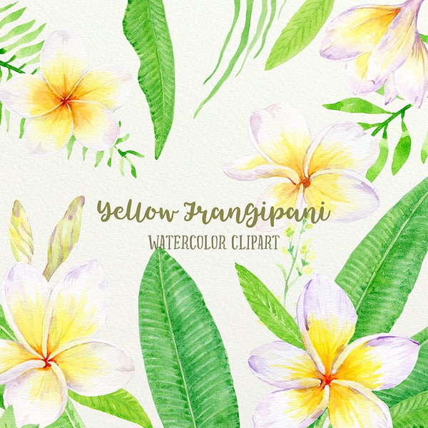 Frangipanier Clip Art, aquarelle frangipani jaune, feuillage vert, frangipanier botanique pour téléchargement immédiat