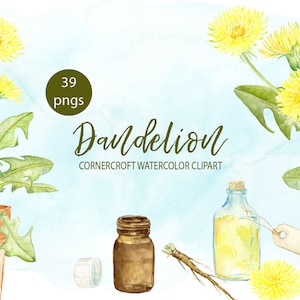 Pusteblume ClipArt, Löwenzahn, Aquarell gelb Blume, Löwenzahn Wurzel, Pusteblume, Saatgut Kopf, sofort-download