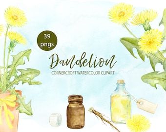 Clipart di tarassaco ad acquerello, fiore giallo, radice, capolino (download digitale)