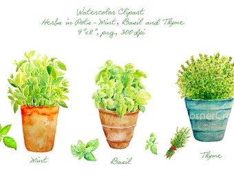 Hand painted watercolor herbs in terracotta pots - mint, Basil and thyme printable instant download