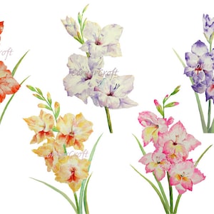 Acuarela gladiolus blanco, amarillo, rosa, púrpura, naranja descarga digital