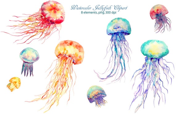 Watercolour Clipart Jellyfish Blue Purple And Orange For Etsy