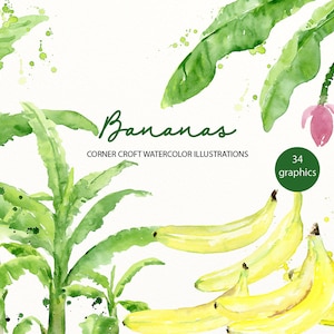 Aquarell Banane Illustration für instant Download