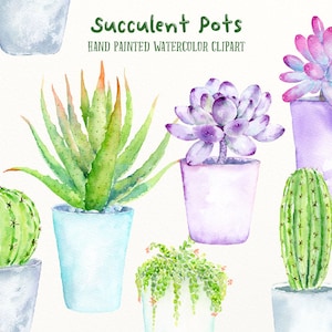 Acuarela clipart suculentas ollas- a mano pintado acuarela plantas suculentas y cactus en macetas contemporáneas imprimible descarga instantánea