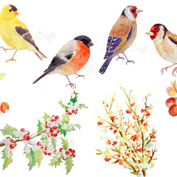 Clipart oiseau aquarelle – Chardonneret et baies d'hiver (téléchargement numérique)