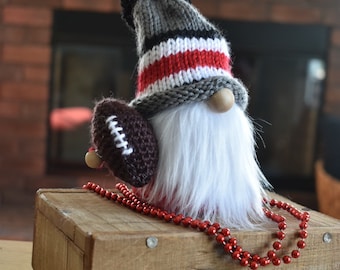 Mr. Buckeye Gnome