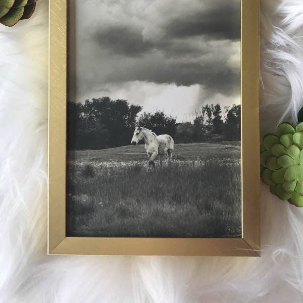 Wild Horse Storm Fine Art Photo/Printable Download/4x6 5x7 8x10 11x14 12x16/Black and White Photography/Printable Art