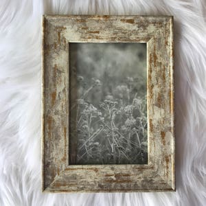 Field Flower Fine Art Photo/Printable Download/4x6 5x7 8x10 11x14/Black and White Photography/Printable Art
