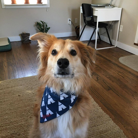 personalized dog bandana collar
