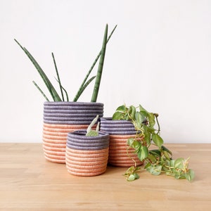 African Storage Plant Basket: Bweza // Rwanda Kiondo Basket // Sisal & Sweetgrass // Peach, Lilac
