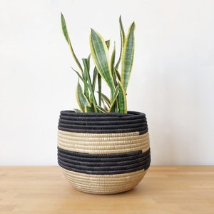 Honey Pot Planter: Nyarutovu // African Basket // Rwanda Sisal & Sweetgrass // Black, Sweetgrass Large