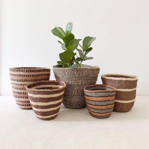 Storage Plant Basket- Assortment 838 (OOAK)
