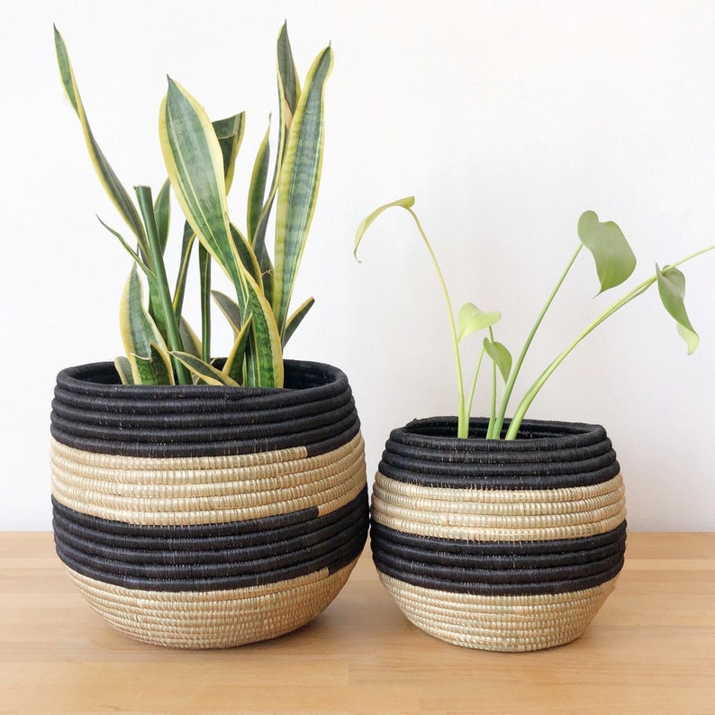 Honey Pot Planter: Nyarutovu // African Basket // Rwanda Sisal & Sweetgrass // Black, Sweetgrass Set of 2