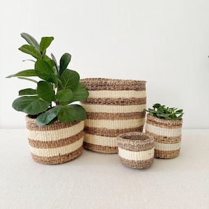 African Storage Plant Basket // Kenya Kiondo Basket // Woven Sisal Planter // Banana Stripe