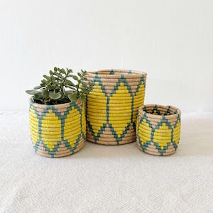 May include: Three woven baskets in varying sizes. The baskets are decorated with a yellow and teal geometric pattern. One basket contains a green succulent plant. The baskets are made of natural fibers.