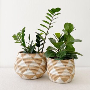 May include: Two woven baskets with white geometric patterns, filled with green plants. The baskets are round and have a natural brown colour.