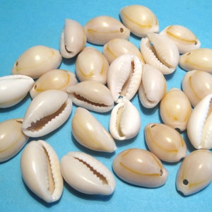20pcs of Cowrie Shells Beads Natural Seashell Beads