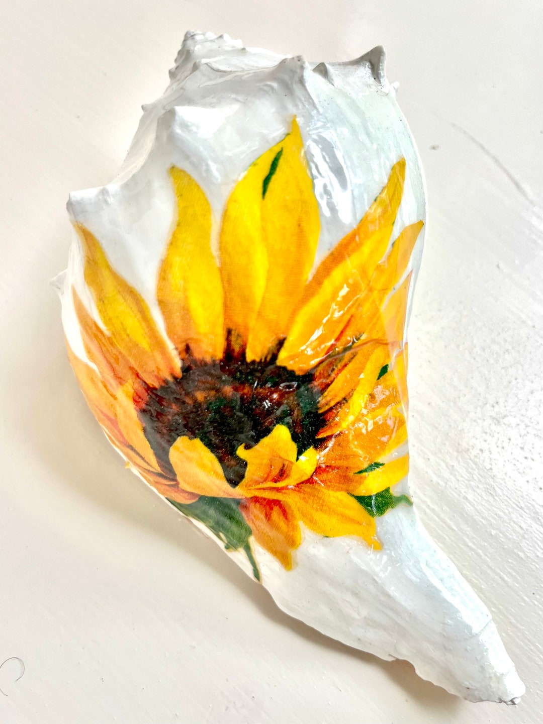 Cape Cod Atlantic Conch / Whelk Shell Hand Decorated by a Etsy