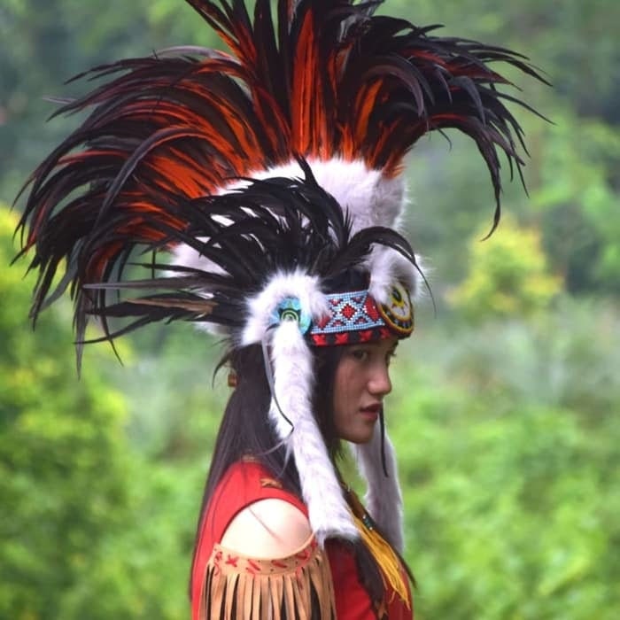Feather Mohawk Headdress, Natural Orange Festival Headpiece  display picture 2