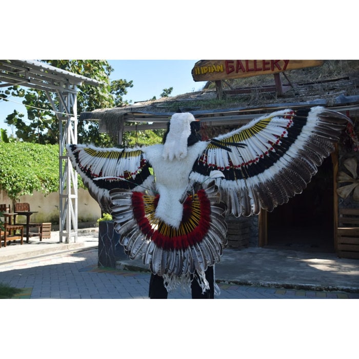 Full Set Indian Headdress Costumes for Men Women, Wings Tail Feathers Indian Inspired Feathers, Powwow Indian Celebration Costume Headdress