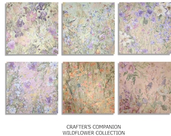 Crafter's Companion Specialty Nature's Garden Wildflowers sided Floral Flowers 12 x 12 inch set 2