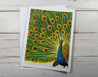 Repurposed Greeting Card Peacock Vintage Card Blank One of a Kind Card with Envelope Reused Card Send Happy Mail Original Paper 6 1/2” by 5”