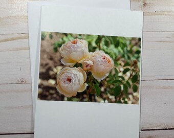 Repurposed Greeting Card Peonie Flowers Blank One of a Kind Cards with Envelope Reused Card Send Happy Mail Original Paper Get Well Love