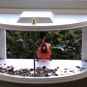 Scratch and Dent Clear View Bird Feeder