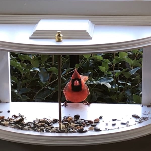 Clear View Bird Feeder – Window-Mounted PVC Feeder for Close-Up Birdwatching