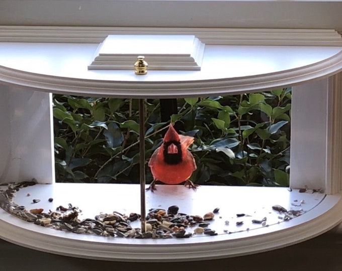 Clear View Bird Feeder – Window-Mounted PVC Feeder for Close-Up Birdwatching