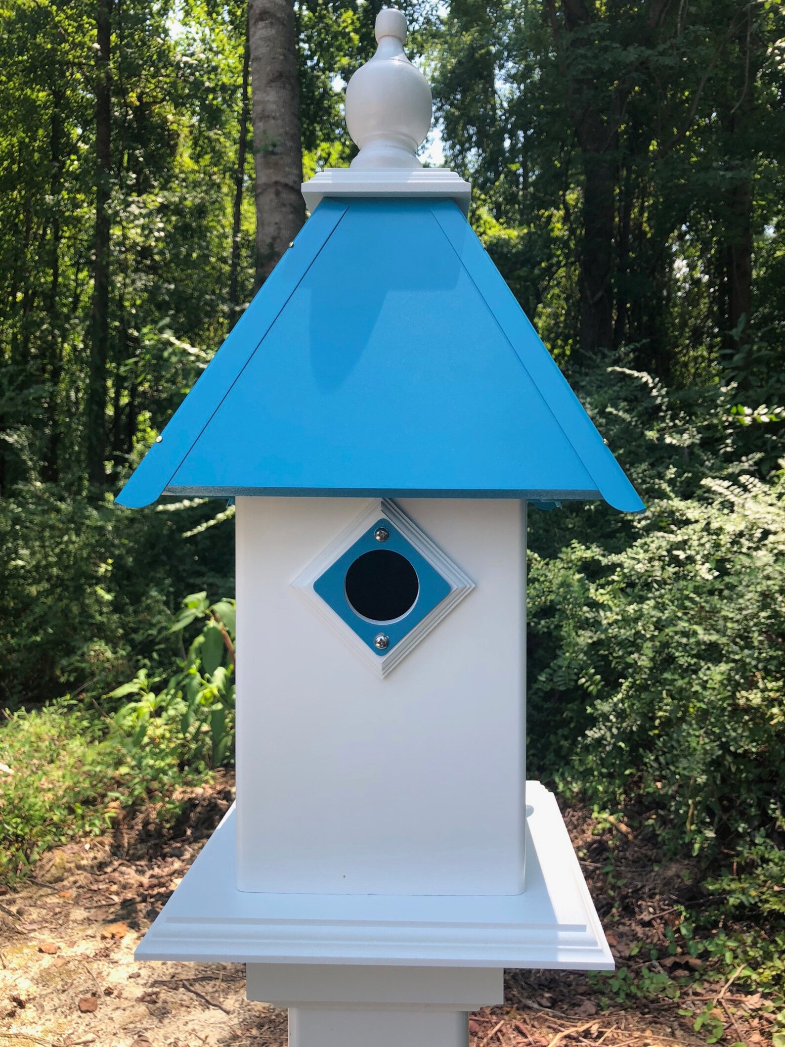 Carolina Blue Bird House Etsy