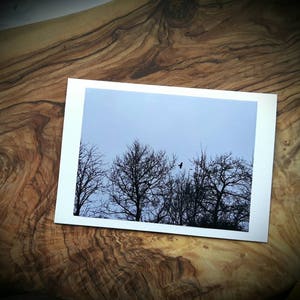 Wald Krähenkarten - VERSANDFERTIG