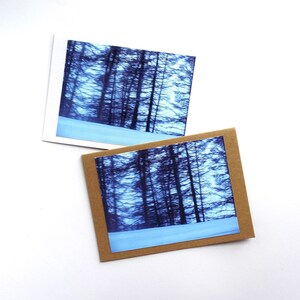 Cartes Blue Forest - PRÊT À EXPÉDIER