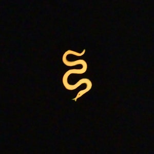 Glow in the Dark Snake Stone - MADE TO ORDER