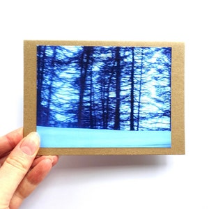 Cartes Blue Forest - PRÊT À EXPÉDIER