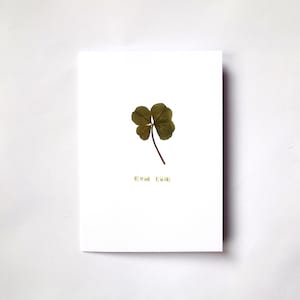 Carte porte-bonheur avec vrai trèfle à quatre feuilles - PRÊT À L'EXPÉDITION