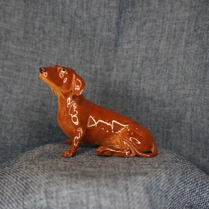 Dachshund toms shoes online
