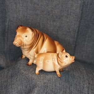 May include: Two ceramic pig figurines, one larger than the other. The larger pig is brown and white with a curly tail. The smaller pig is brown and white with a straight tail. Both pigs have a glazed finish.