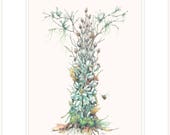 Indian Pipe - Ghost of the Forest, botanical illustration fine print 11 quot x 14 quot with mat and backing