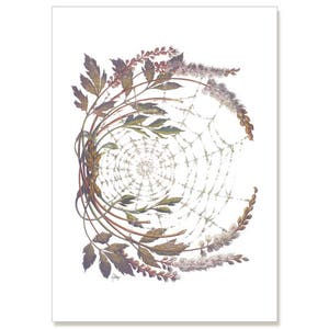 Cohosh - Perlas de la Abuela, tarjeta de felicitación de ilustración botánica 5" x 7" PACK DE SEIS