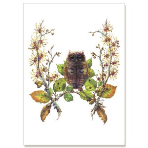 Hexe Hazel - der Zauberer, botanische Illustration Grußkarten-5 "x 7" PACK von sechs