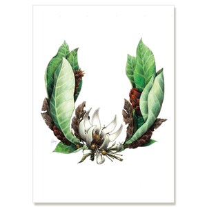 Arbre parapluie - maître de coléoptères, illustration botanique de voeux carte 5 "x 7" ensemble de SIX