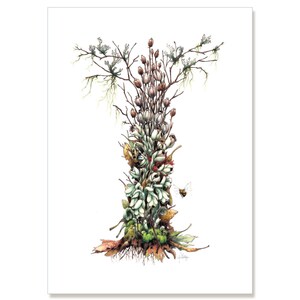 Indian Pipe - Ghost of the Forest, botanical illustration greeting card 5&quot; x 7&quot; SET OF SIX